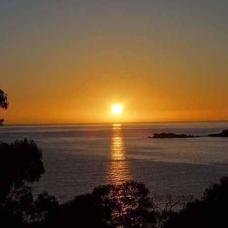 Bay Of Fires Seachange Ocean Frontage Binalong Bay Exteriör bild