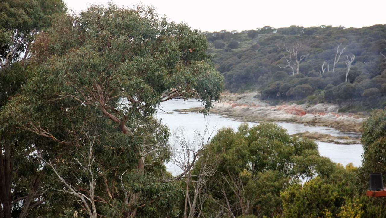 Bay Of Fires Seachange Ocean Frontage Binalong Bay Exteriör bild