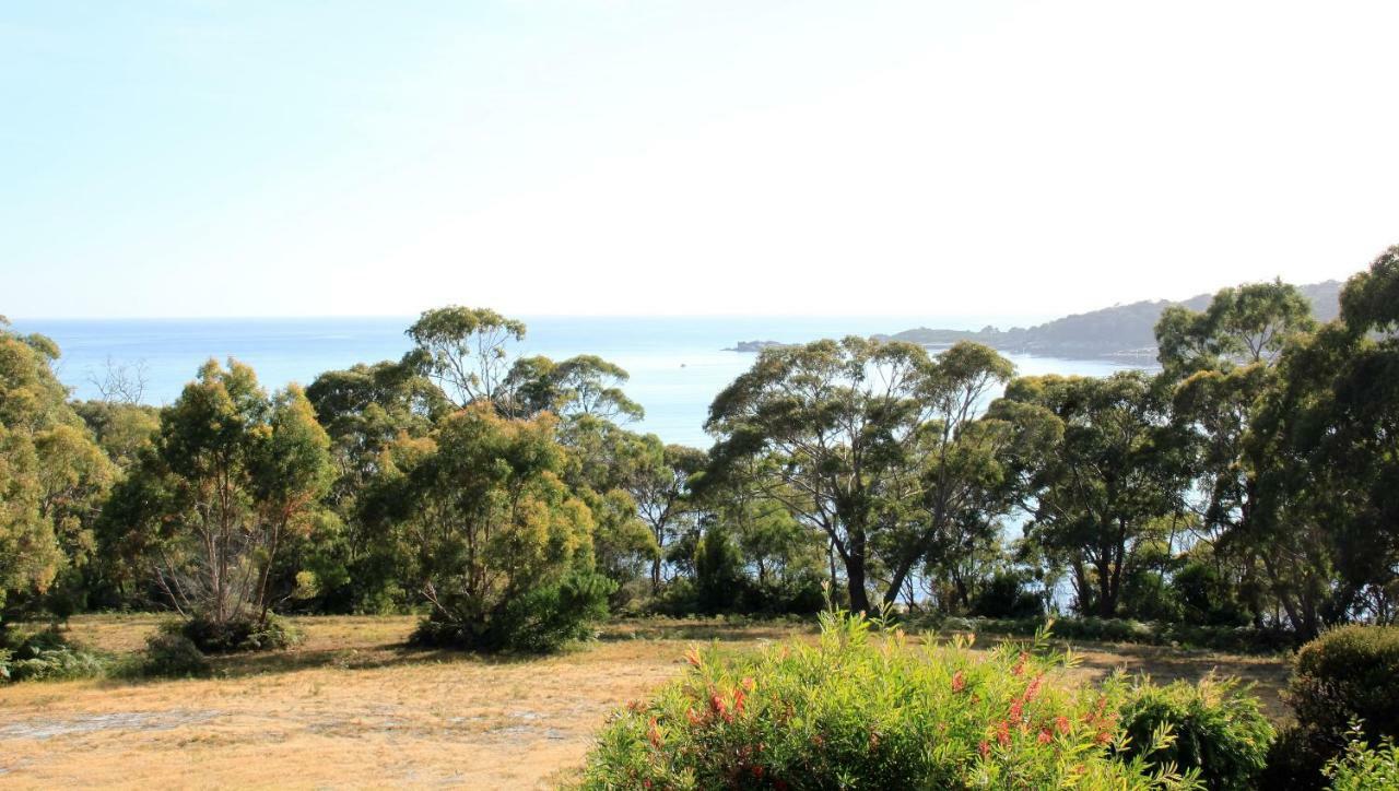 Bay Of Fires Seachange Ocean Frontage Binalong Bay Exteriör bild